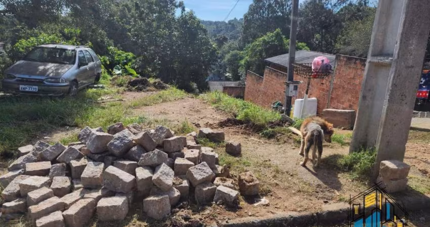 Terreno para Venda em Quatro Barras, ***Borda do Campo***