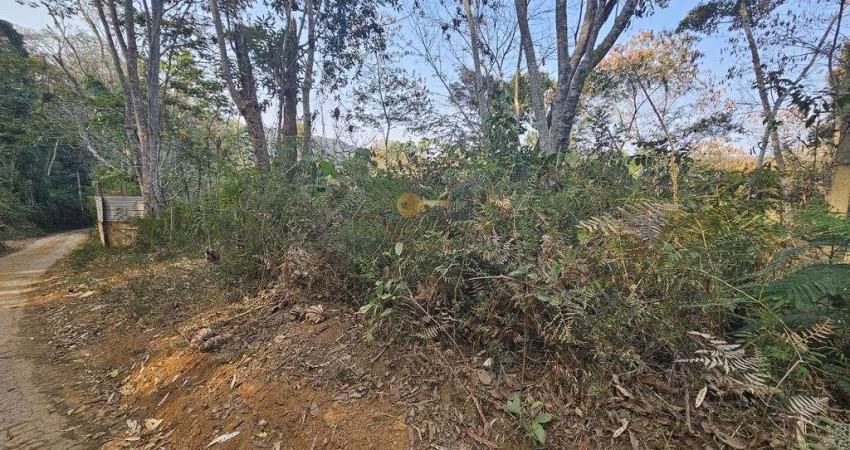 Terreno para Venda em Teresópolis, Jardim Salaco