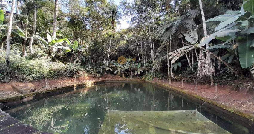 Terreno para Venda em Teresópolis, Prata dos Aredes