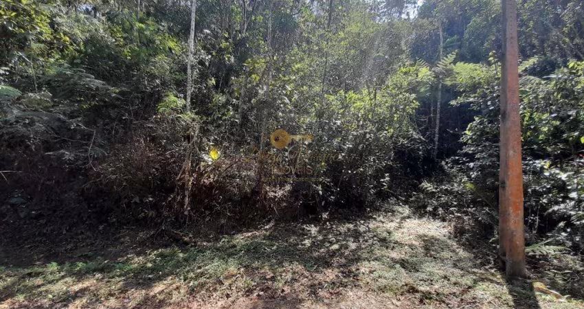 Terreno para Venda em Teresópolis, Vargem Grande