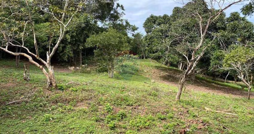 Lindo terreno em Búzios RJ com 900m² à venda na rasa, ótima oportunidade de investimento para uso residencial ou comercial