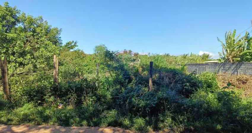 Terreno de 600m² por 86$ mil rua das palmeiras maria joaquina