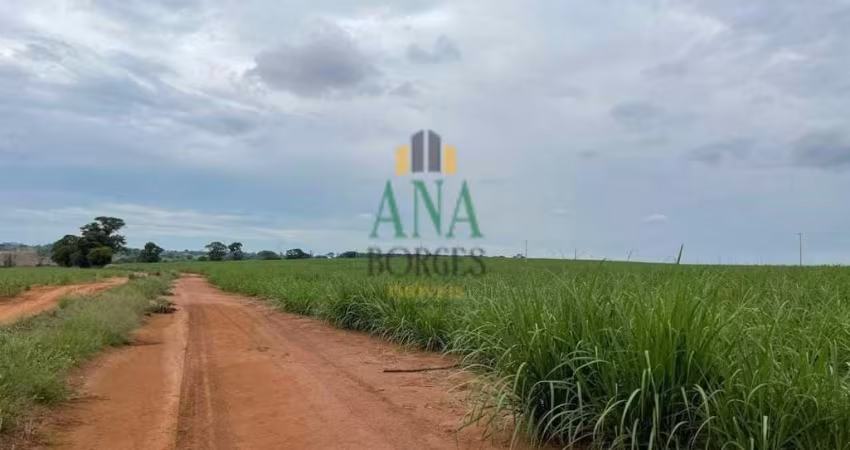 EXCELENTE FAZENDA COM CANA A VENDA EM ARARAQUARA