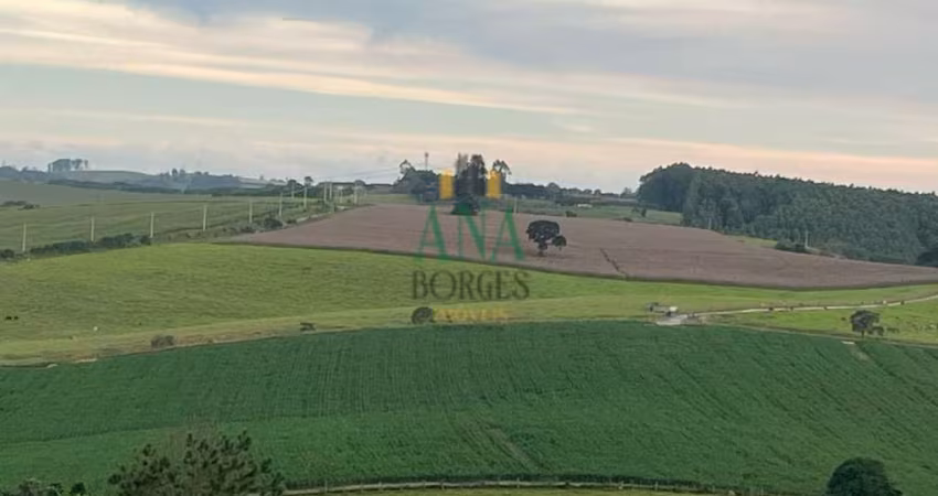 Fazendinha de 49 alqueires, em São Miguel Arcanjo