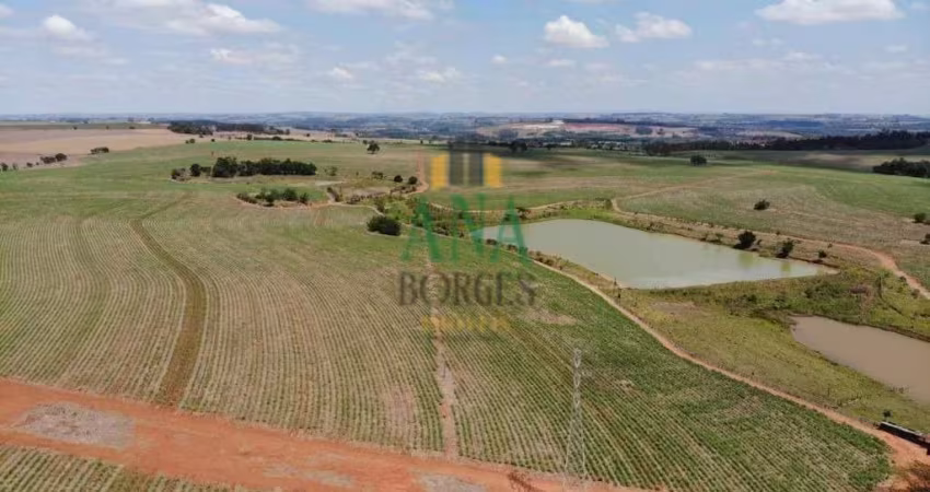Vende-se Fazenda em Tatuí