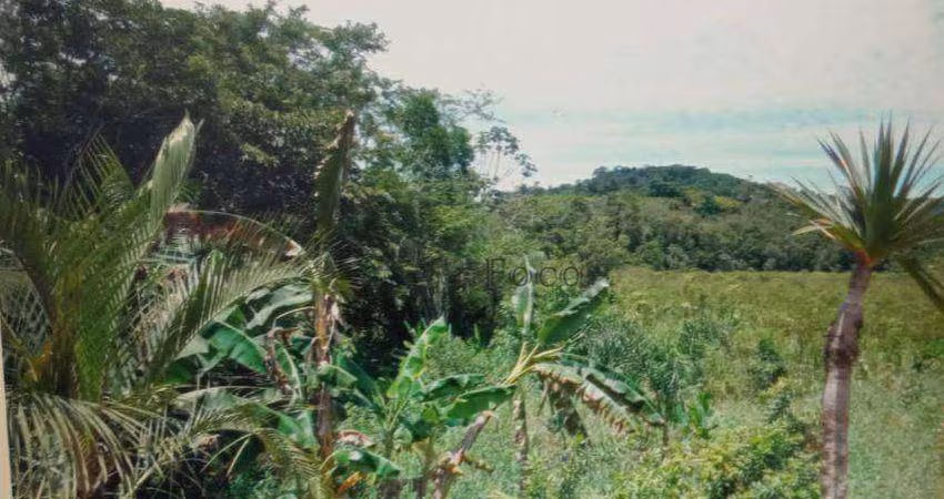 Sítio (terreno) c/ 31.250m2 de área, c/ nascente