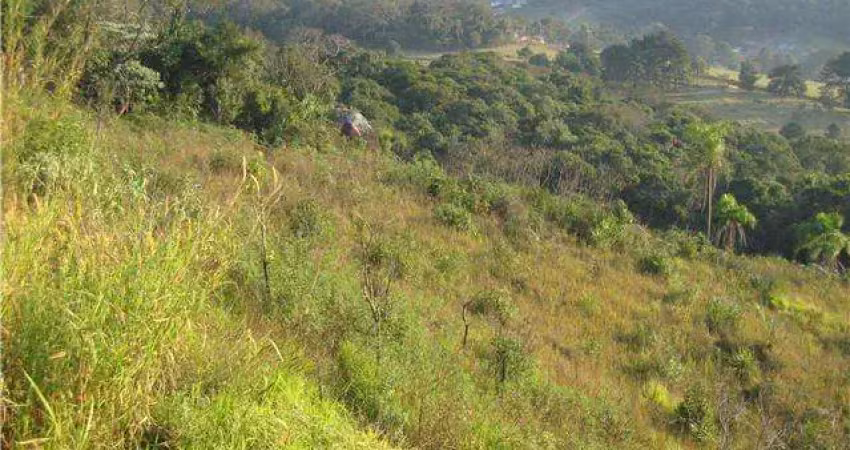 Área comercial à venda, capela de são pedro, vargem grande paulista.