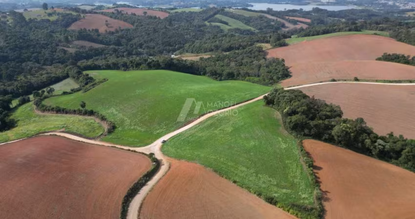 Compre Chácara em Área Rural De Araucária.  Imóvel Rural em Araucária/PR.