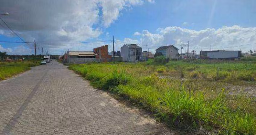 Terreno à venda por R$ 265.000,00 - Nova Barra Velha - Barra Velha/SC