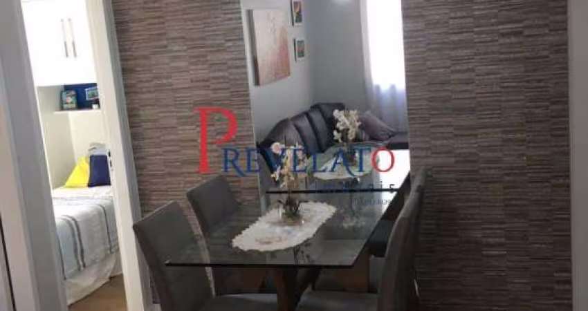 AP-7533 LINDO APARTAMENTO NO BAIRRO SANTO IGNACIO
