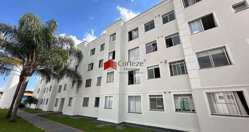 Apartamento com 45,45m² 2 quartos, para aluguel, no bairro afonso pena em são josé dos pinhais