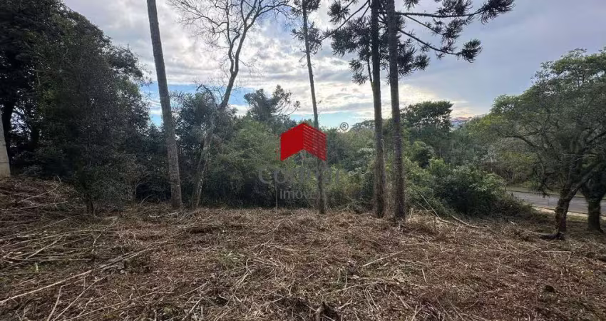 Terreno com 600m² , à venda, no bairro aristocrata em são josé dos pinhais
