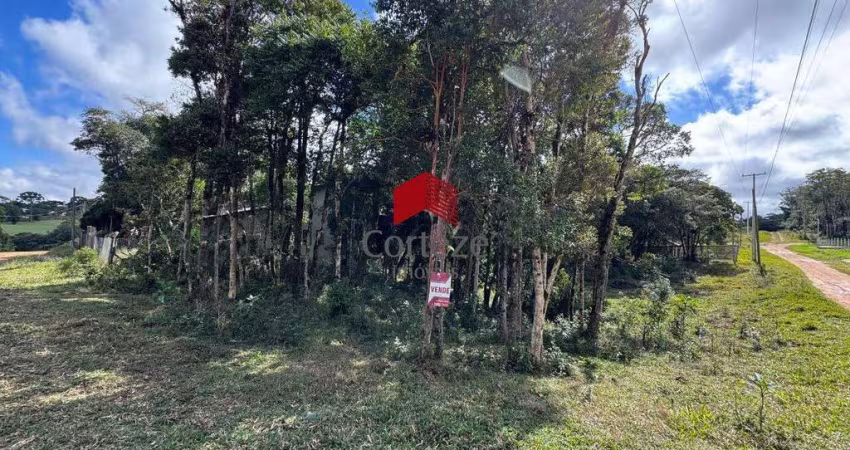 Terreno com 1.144m² , à venda, no bairro Borda do Campo em São José dos Pinhais