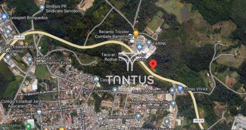 Terreno à venda, 30250 m² por r$ 3.600.000,00 - campina do arruda - almirante tamandaré/pr