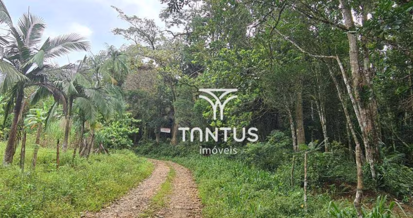 Terreno à venda, 21196 m² por R$ 170.000,00 - Sambaqui - Morretes/PR