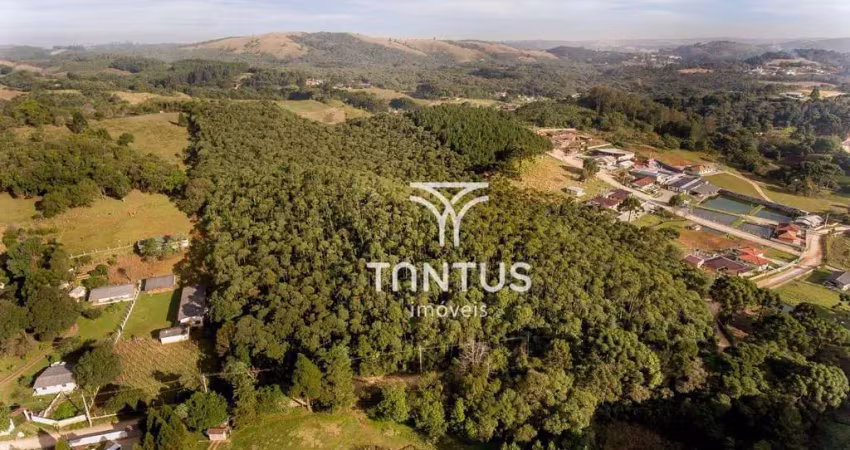 Chácara à venda, 76040 m² por r$ 1.700.000,00 - boichininga - almirante tamandaré/pr