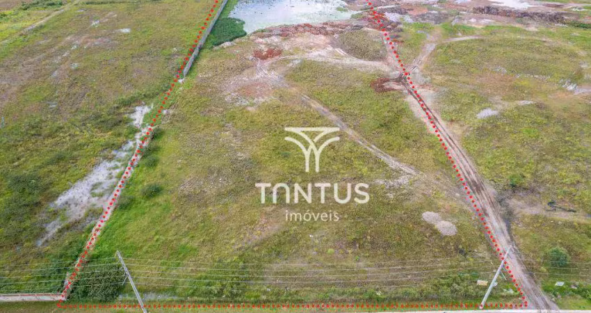 Terreno para alugar, 30.816 m² por r$ 61.632,00/mês - ipê - são josé dos pinhais/pr