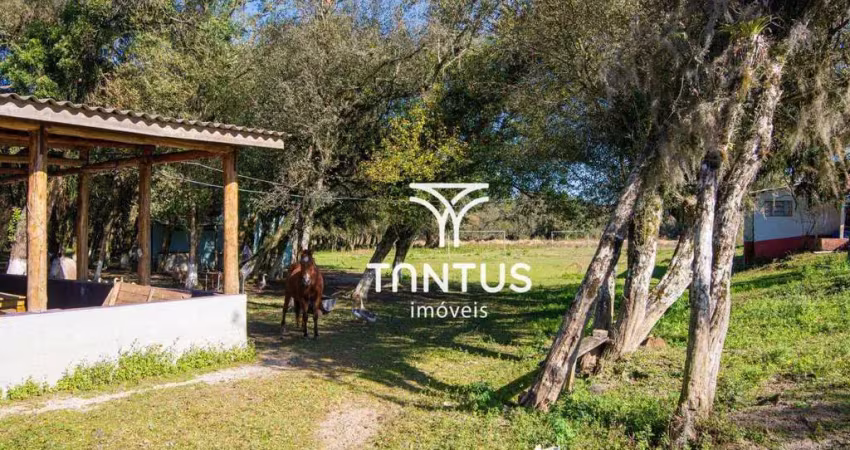 Área à venda, 97074 m² por r$ 2.100.000 - weissópolis - pinhais/pr