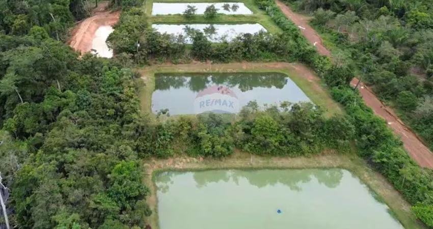 Vendo fazenda arapaima no km 25 da estrada de novo airão-am