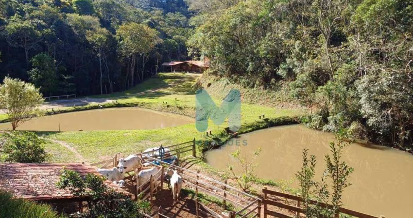 Lindo Sitio em Paraibuna, documentação ok