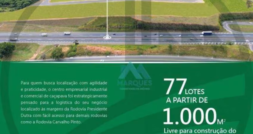 Terrenos comerciais de frente para Via Dutra à Venda