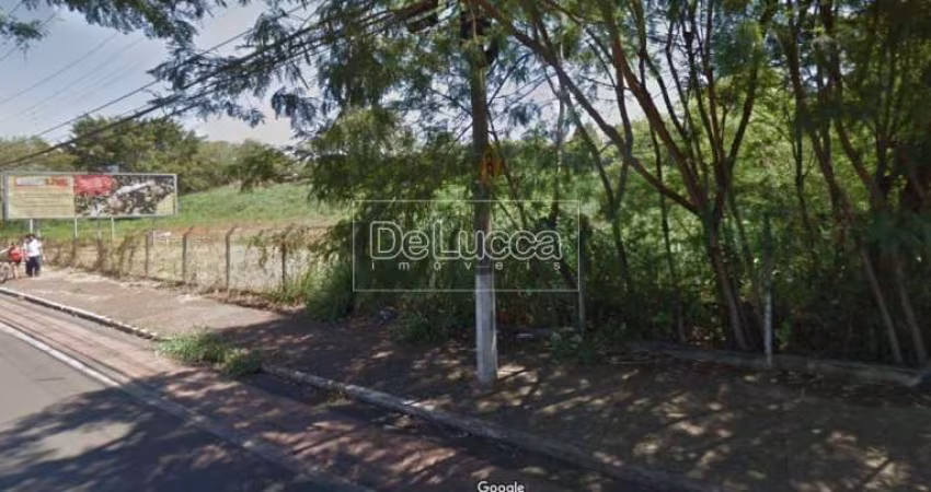 Terreno comercial à venda na Avenida Santa Isabel, 1100, Barão Geraldo, Campinas