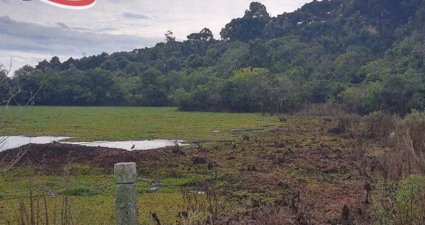 Área à venda, 260942 m² por r$ 6.500.000,00 - tietê - araucária/pr