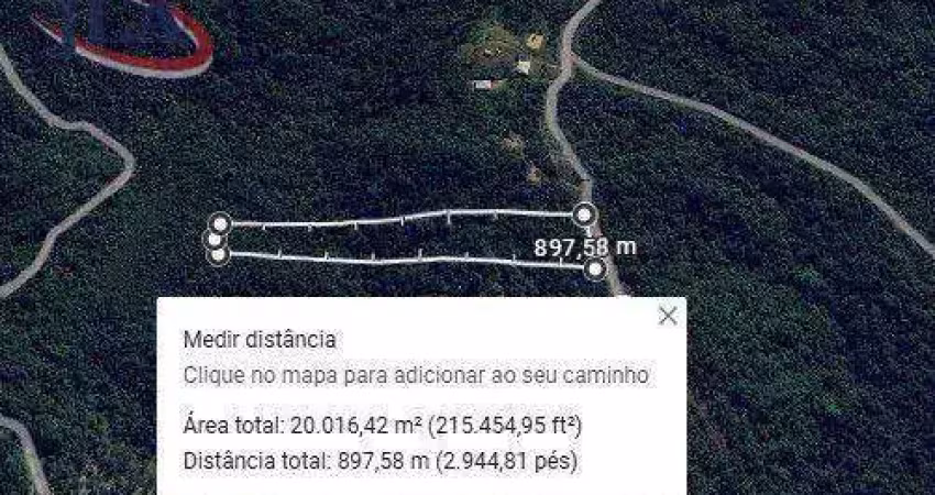 Área à venda, 20000 m² por r$ 150.000 - curralinho - são josé dos pinhais/pr