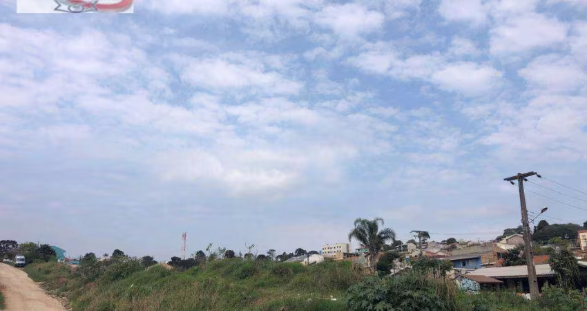 Terreno à venda, 2600 m² por R$ 2.000.000,00 - Rio Verde - Colombo/PR