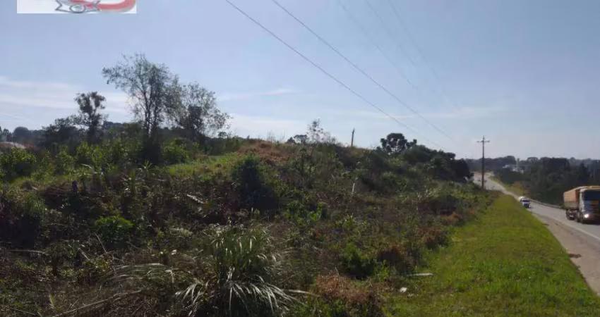 Área à venda, 43504 m² por r$ 11.000.000,00 - planta almirante - almirante tamandaré/pr