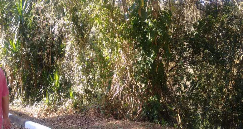 Terreno Pirucaia Mairiporã/SP