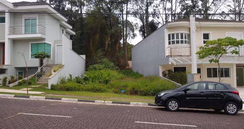 Terreno Palmas do Tremembé São Paulo/SP