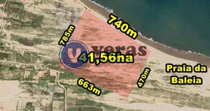 Veras vende terreno com 41,56ha em itapipoca-ce, próximo a p