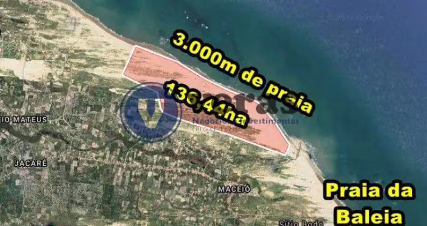 Veras vende tereno com 136,44ha  em itapipoca-ce, próximo a