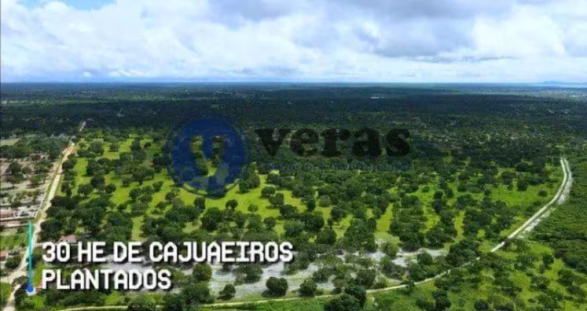 Fazenda à venda na Rod. Brunilo Jacó de Castro e Silva, Patos dos Liberatos, Chorozinho