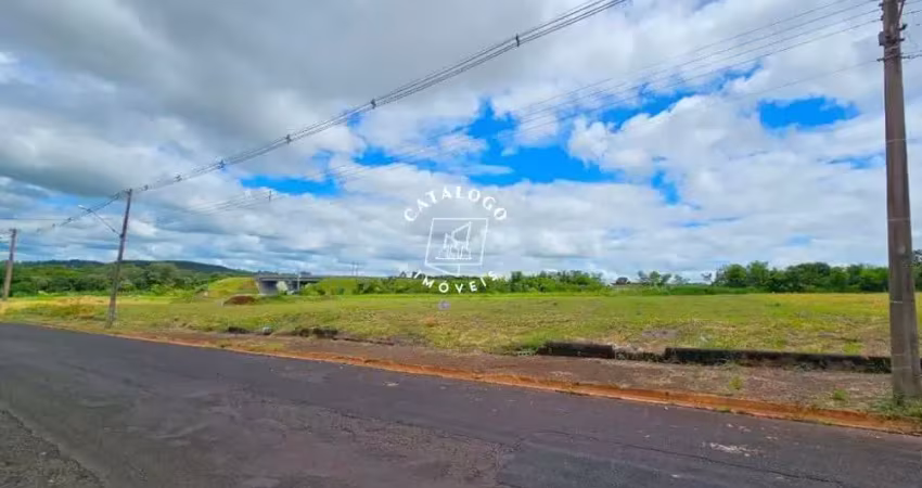 Terreno à venda na Avenida Professor Mário Autuori, City Ribeirão, Ribeirão Preto