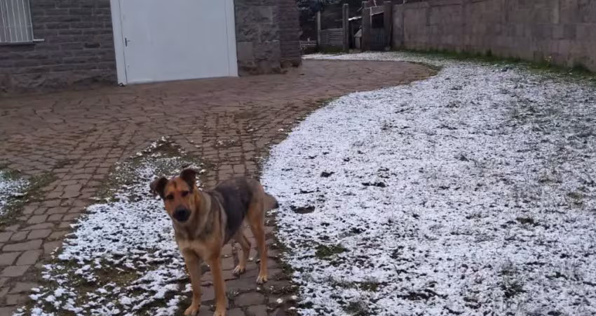 Chácara / sítio com 2 quartos à venda na Fazenda Souza, Caxias do Sul 