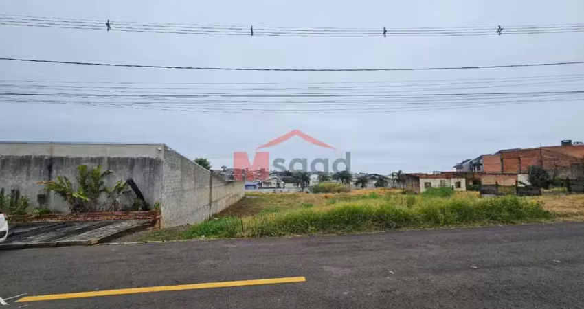 Terreno à venda na Rua Pedro Luiz Guzzo, s nº, Jardim Carvalho, Ponta Grossa