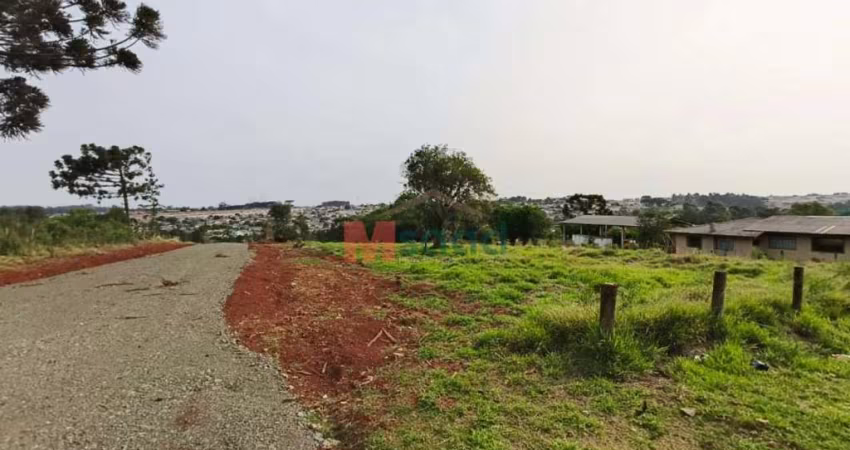 EXCELENTE TERRENO CINTO VERDE RUA JOSE KOTESKI