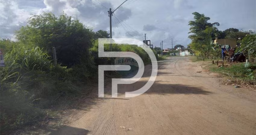 Terreno à venda em Itacimirim, Camaçari - Bahia, em uma localização privilegiada, rodeado pela natu