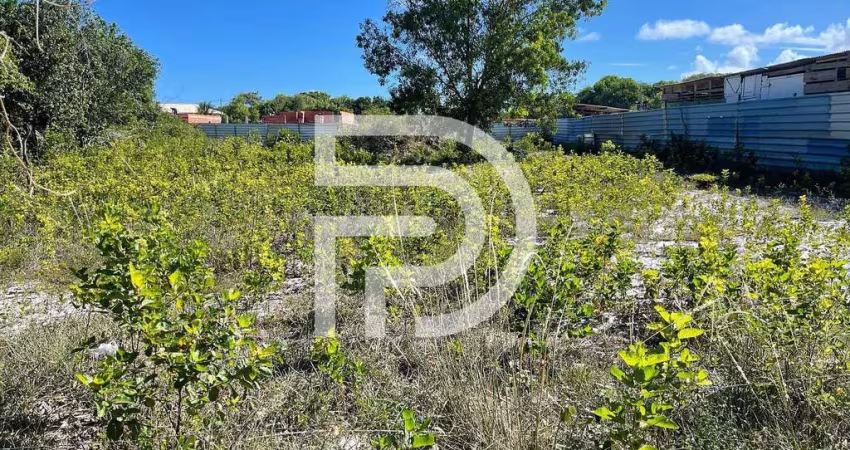 Terreno à Venda em Itacimirim, Camaçari - 1000m² em Localização Privilegiada! Oportunidade Única de