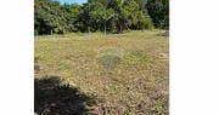 Terreno Exclusivo a venda de 800m² em Guarajuba – Oportunidade Imperdível!