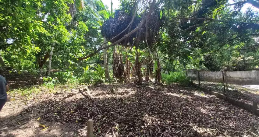 Terreno em condomínio de luxo na praia do forte, mata de são joão-ba: 894m² de oportunidade única!