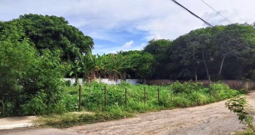 Terreno Comercial à Venda em Itacimirim Camaçari-BA,  1.000m² de Oportunidade Única!