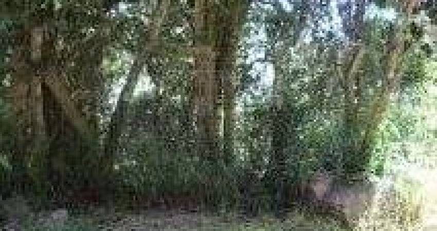 Terreno para Venda - 0m², 0 dormitórios, Belém Novo