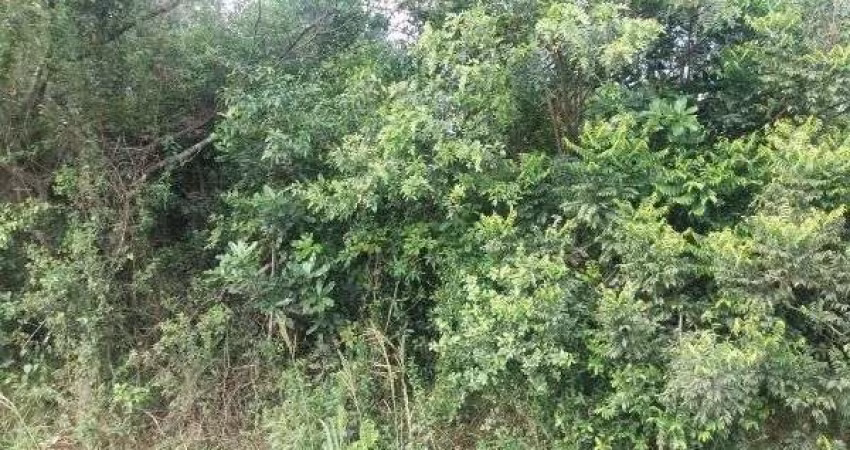 Terreno para Venda - 0m², 0 dormitórios, Restinga
