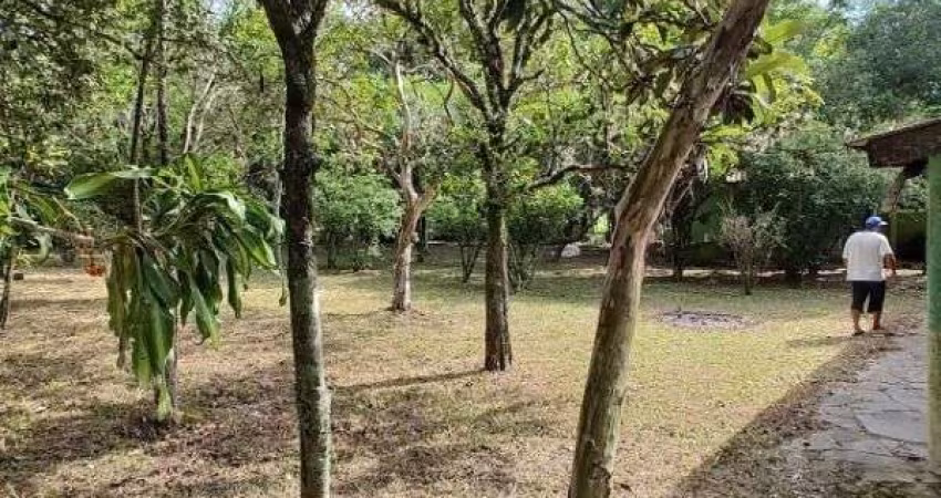 Sítio em Porto Alegre, no bairro São Caetano, à venda.