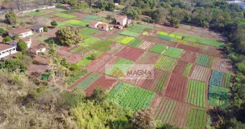 Área à venda, 24840 m² por R$ 11.178.000,00 - Jardim Itaú - Ribeirão Preto/SP