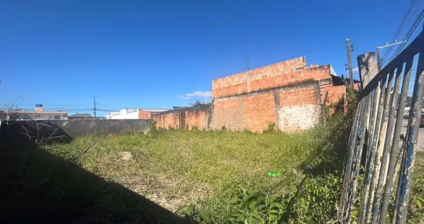 Terreno à venda na Rua Pedro Reis, 296, Espinheiros, Itajaí