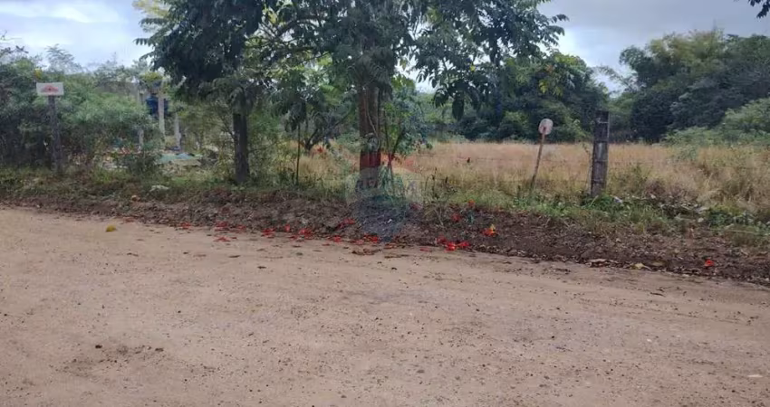 Terrenos  no loteamento rincão mimoso : ótima localização e preço!